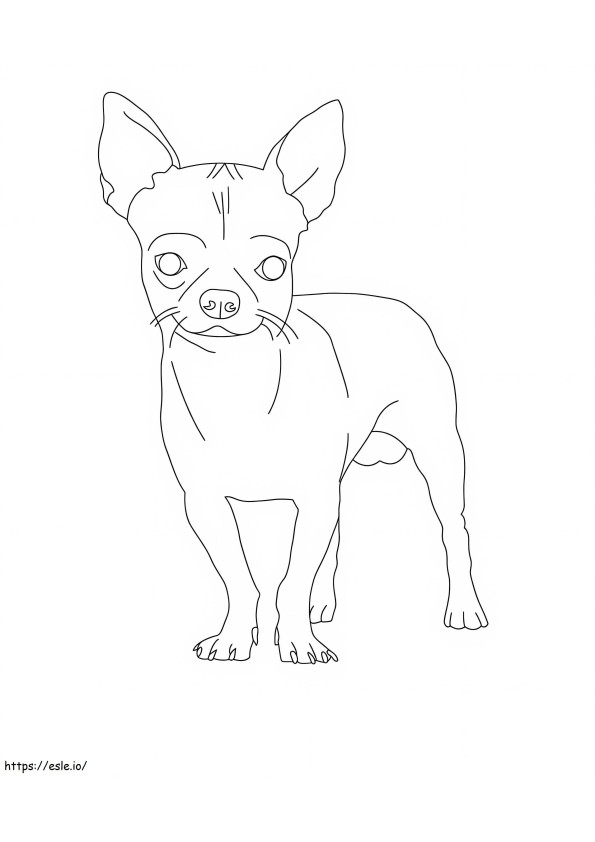 Coloriage Adorable Chihuahua à imprimer dessin