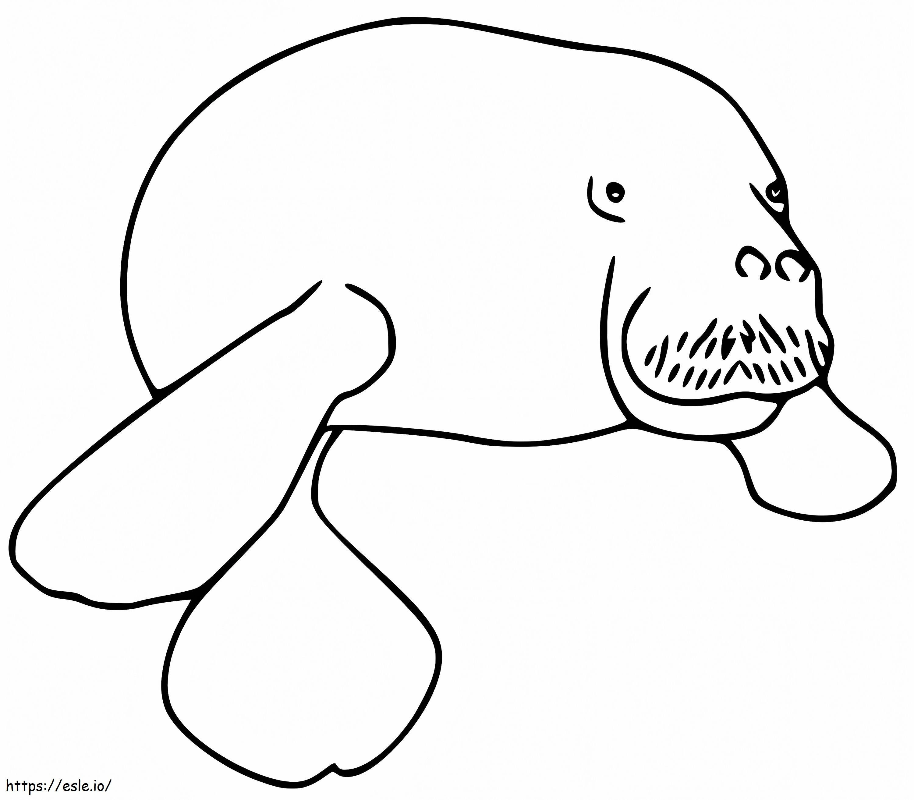 Manatee 1 coloring page