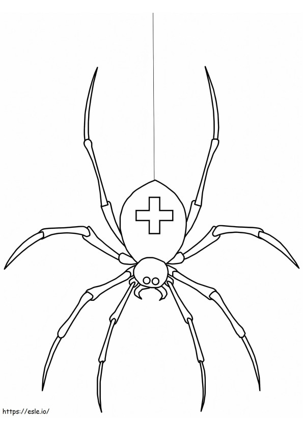 Tıbbi Örümcek boyama