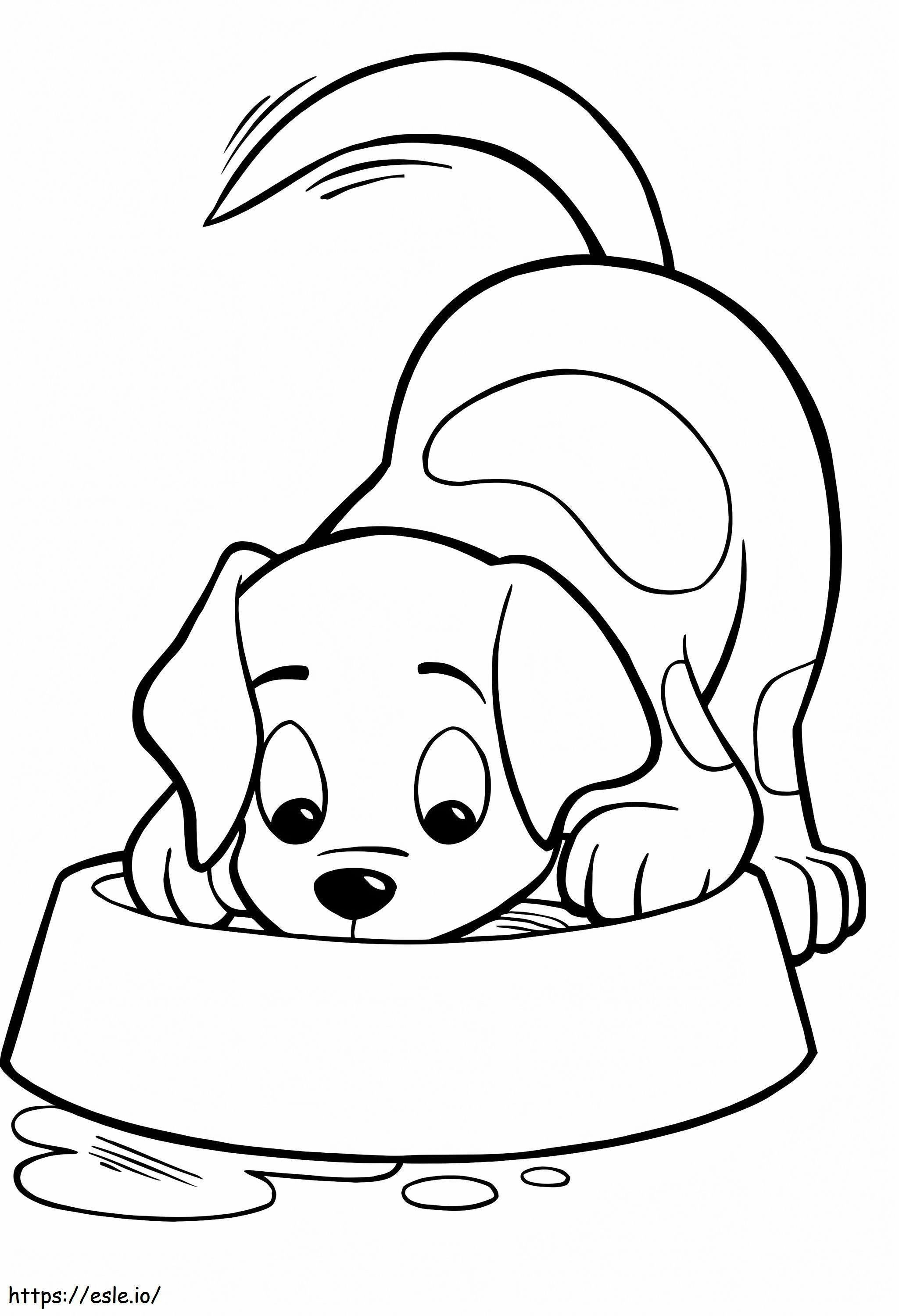 Puppy Drinking Water coloring page