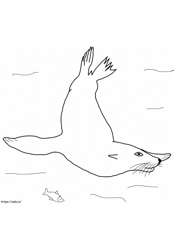 León marino nadando para colorear