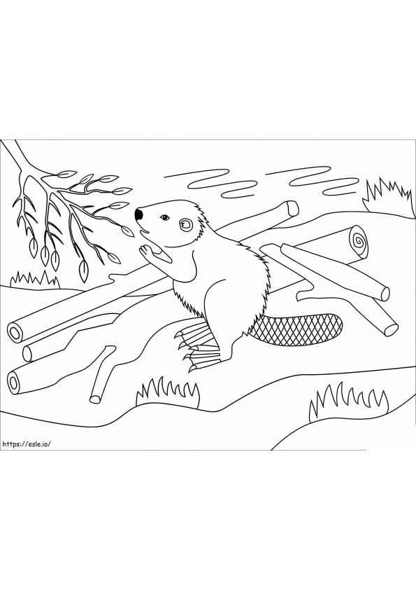 Castor Simple coloring page