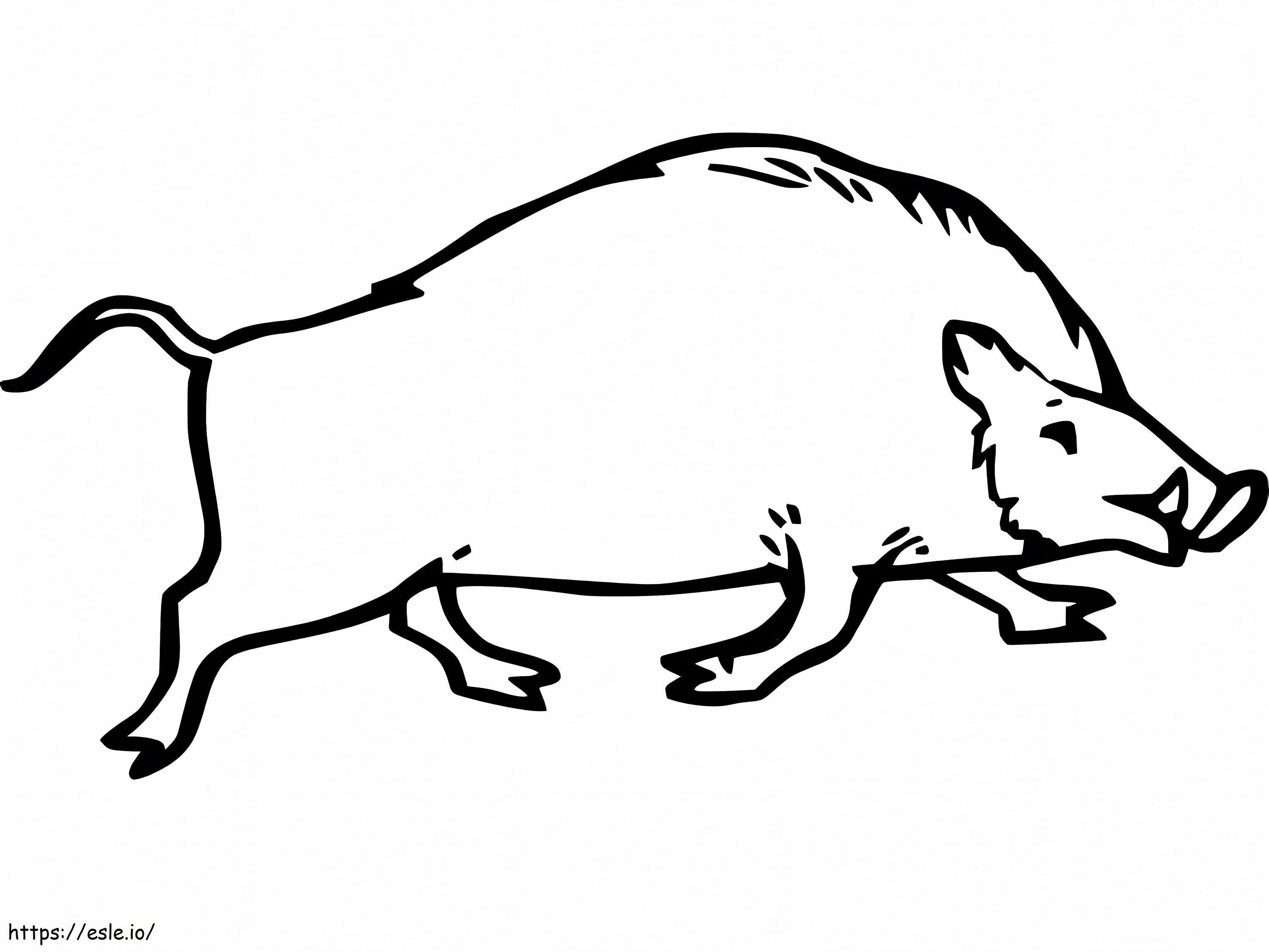 Koşan yaban domuzu çizimi boyama