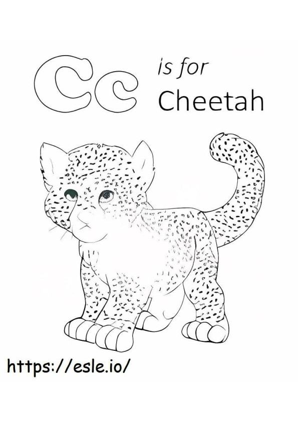 C est pour le guépard