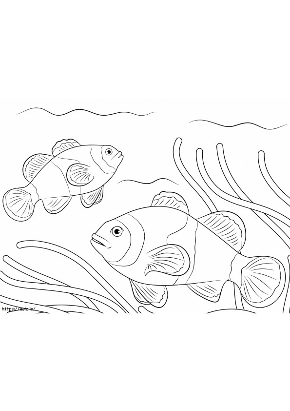 Pesci pagliaccio Ocellaris da colorare
