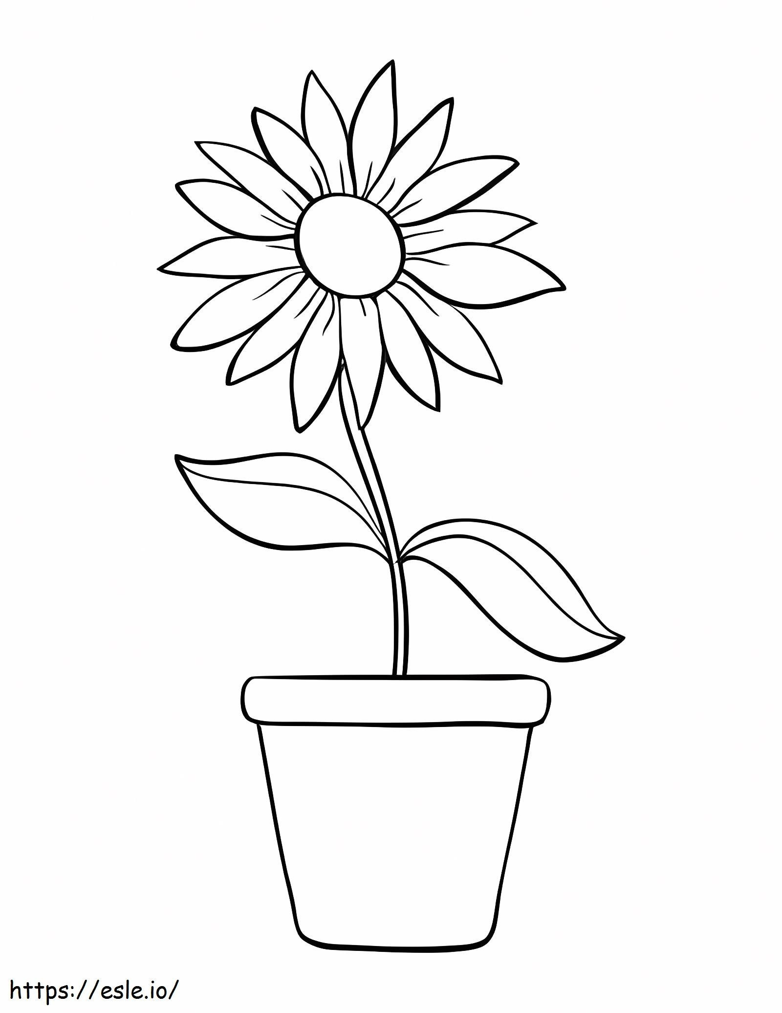 Sunflower Pot coloring page