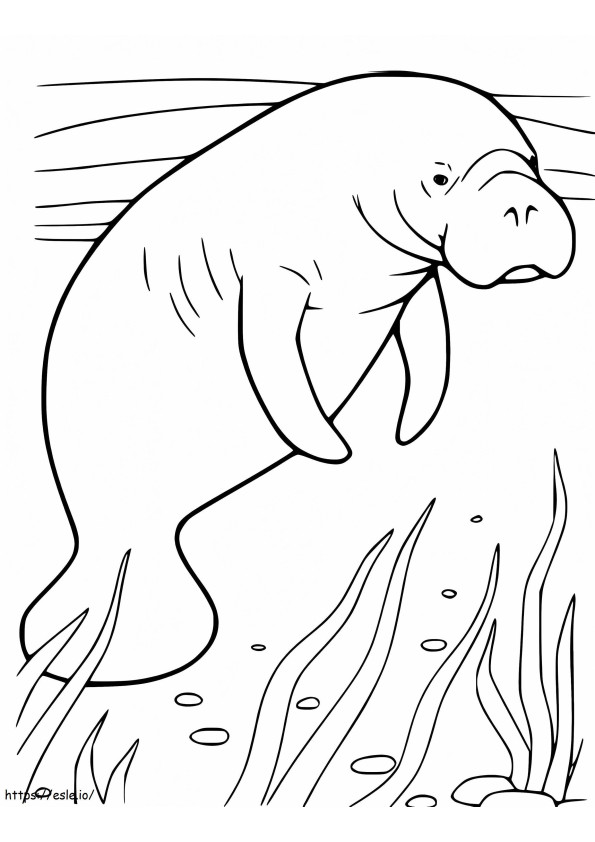Manatee Under Water coloring page