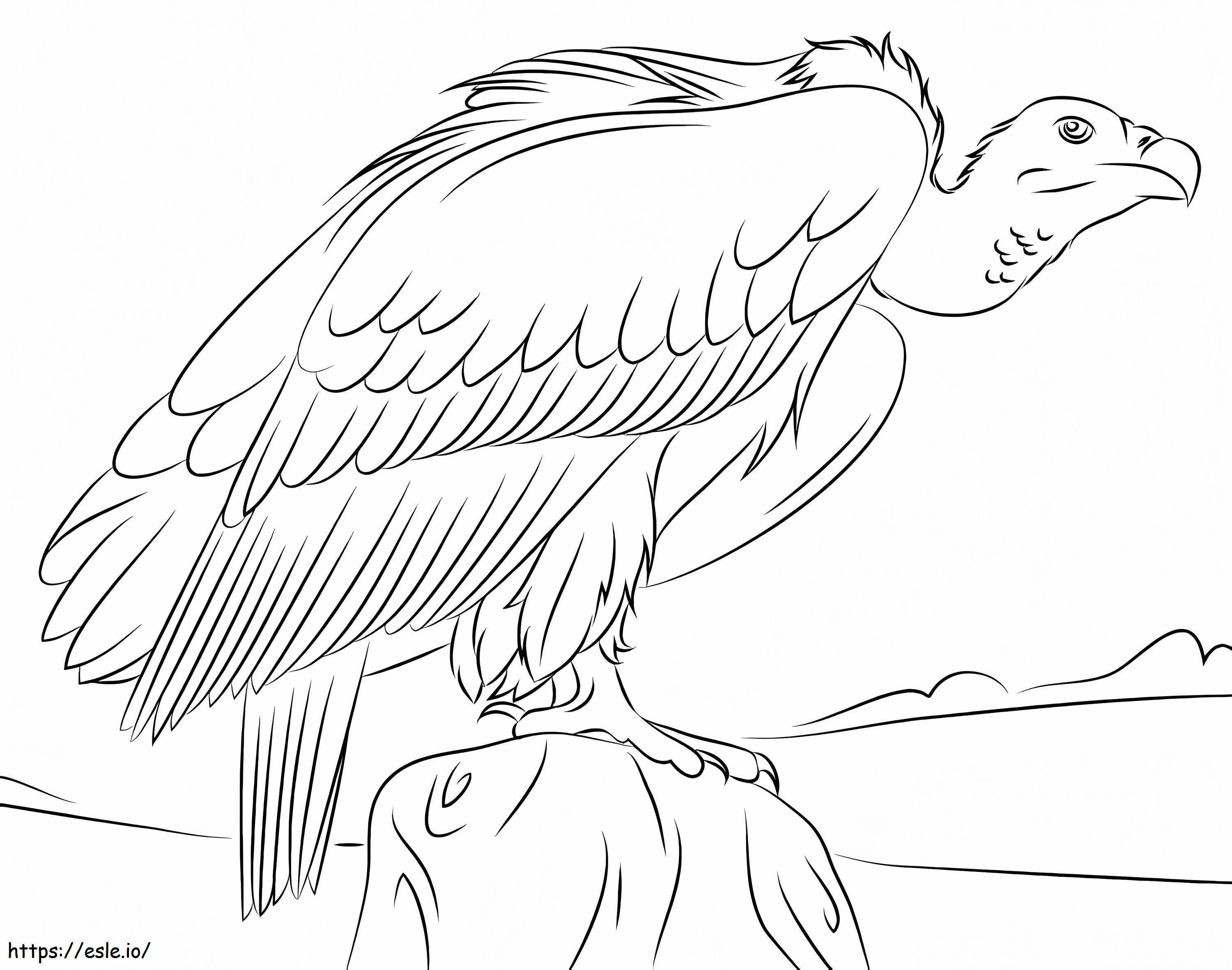 Easy Vulture coloring page