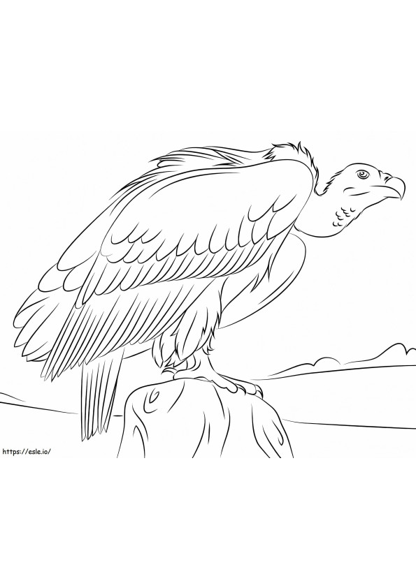 Vultur Ușor de colorat