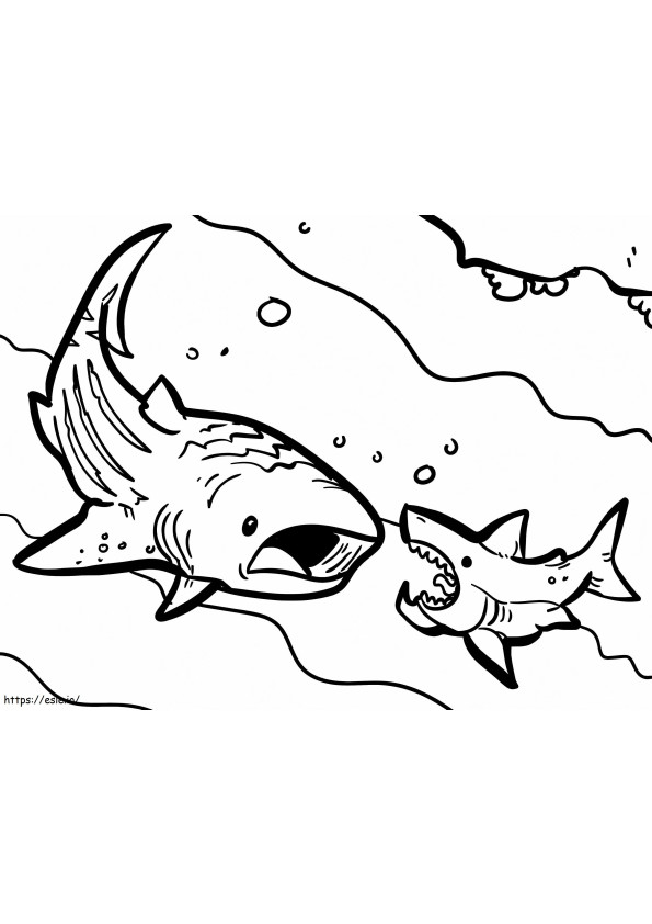 Different Sharks coloring page