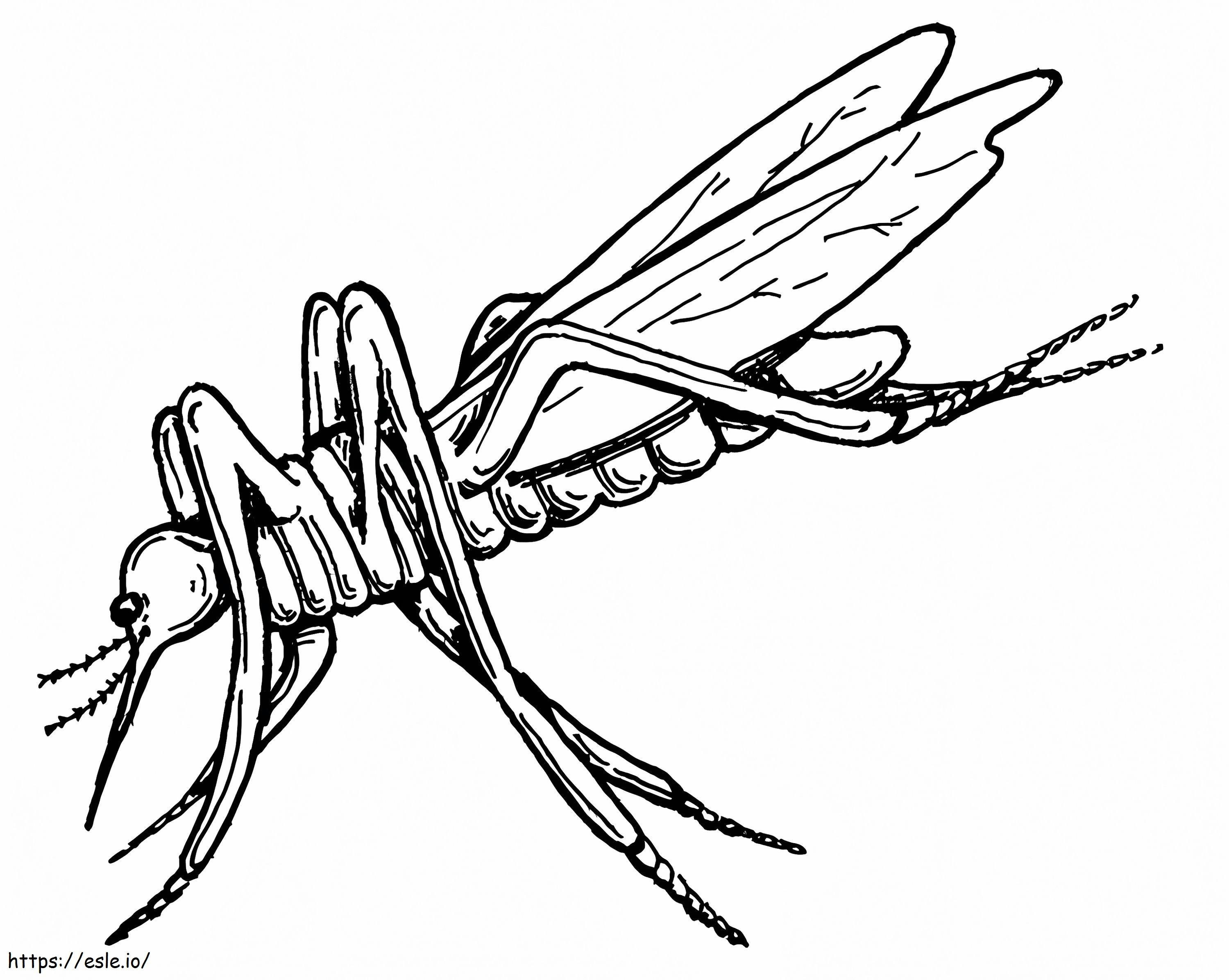 Mückenfrei ausmalbilder