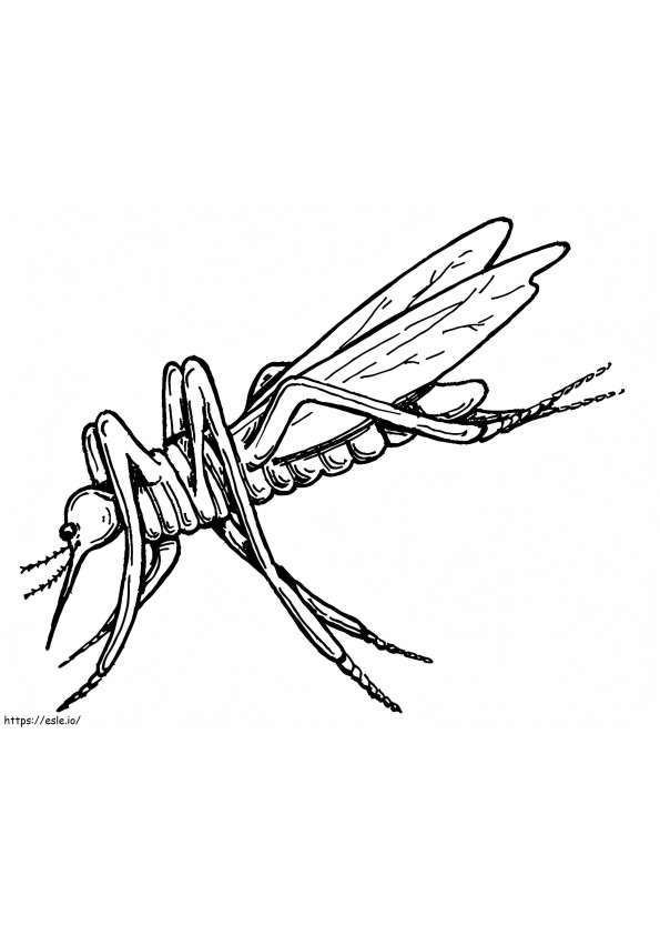 Mosquito Free coloring page