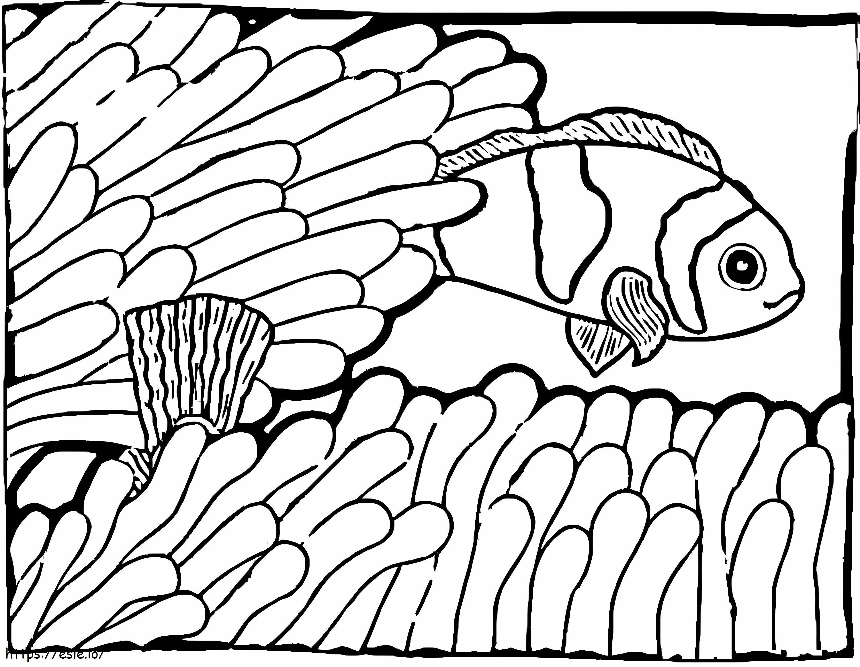 Um peixe-palhaço para colorir