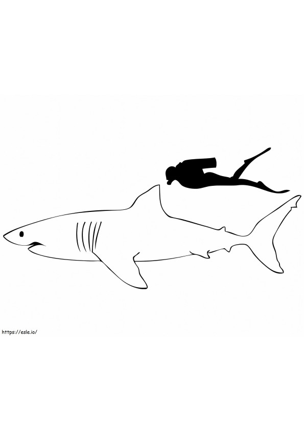 Grande tubarão branco grátis para colorir