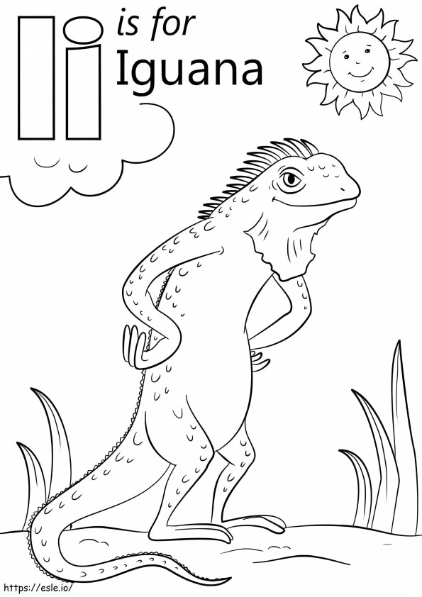 Lettera Iguana I