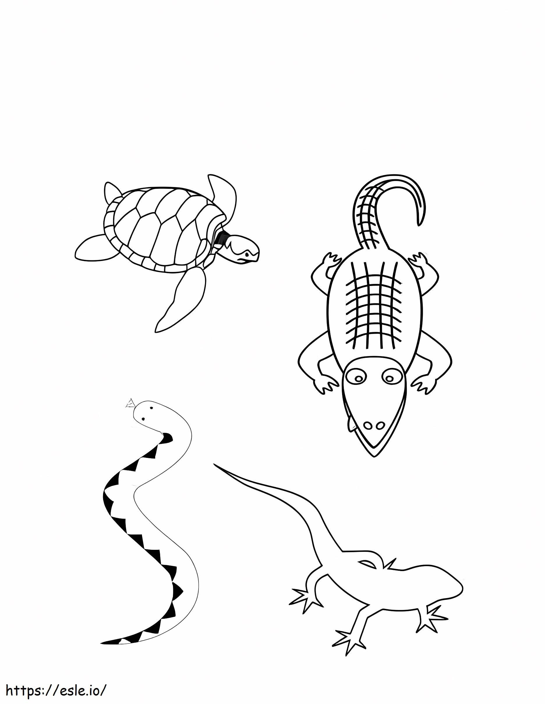 Vier Amphibien ausmalbilder