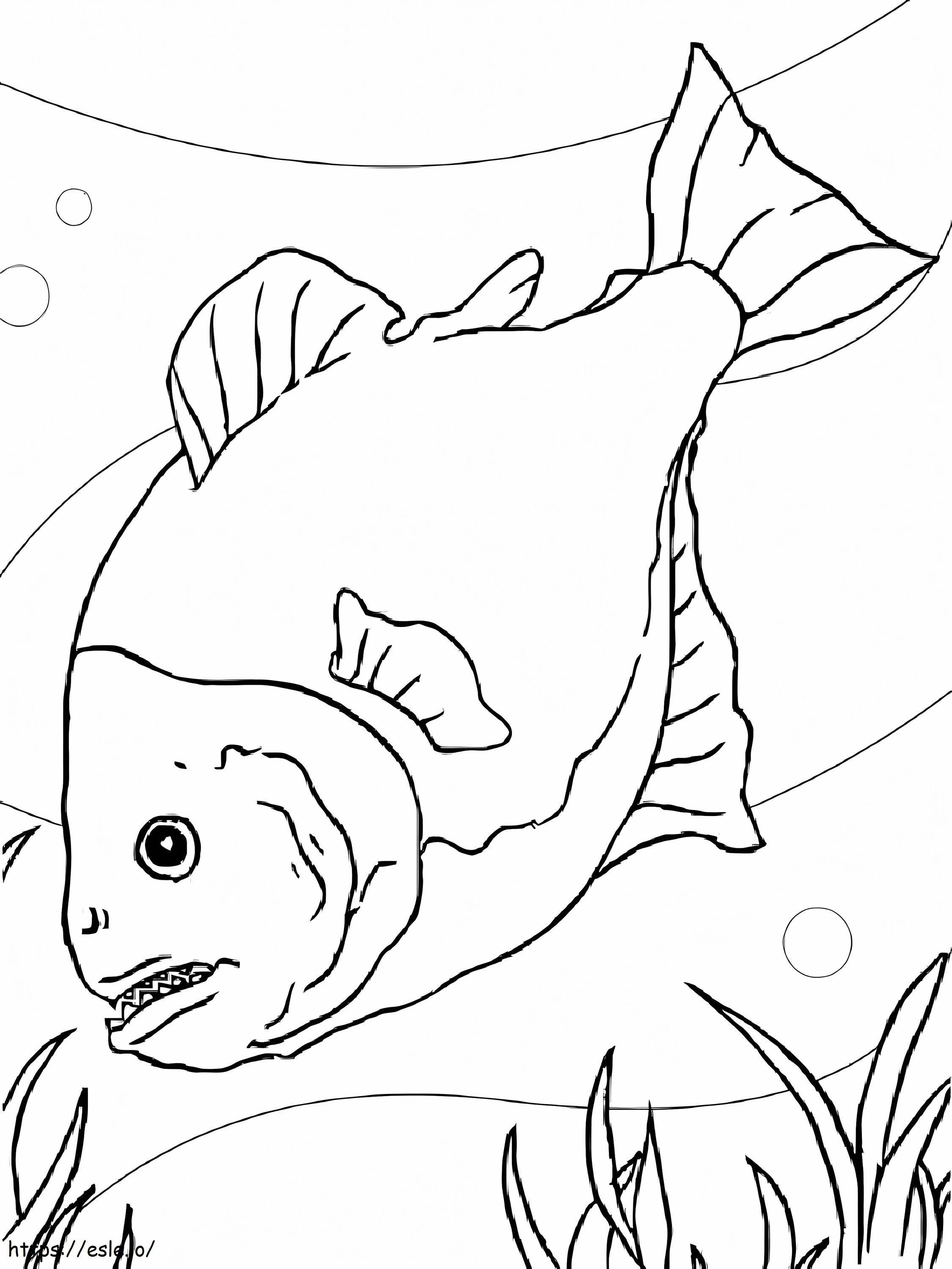 Piranha Swimming coloring page