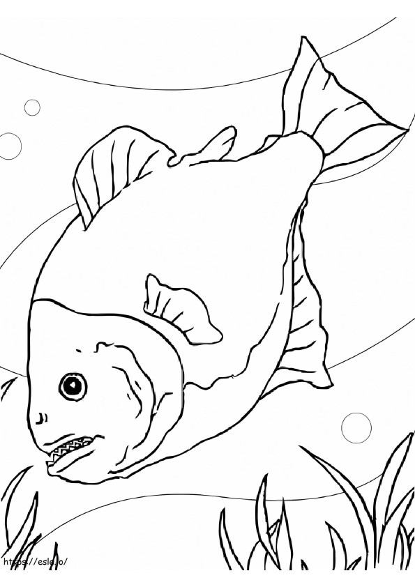 Piranha-zwemmen kleurplaat