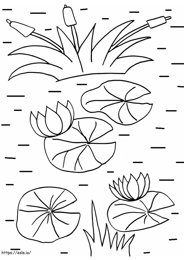 Lily Pad 4 coloring page