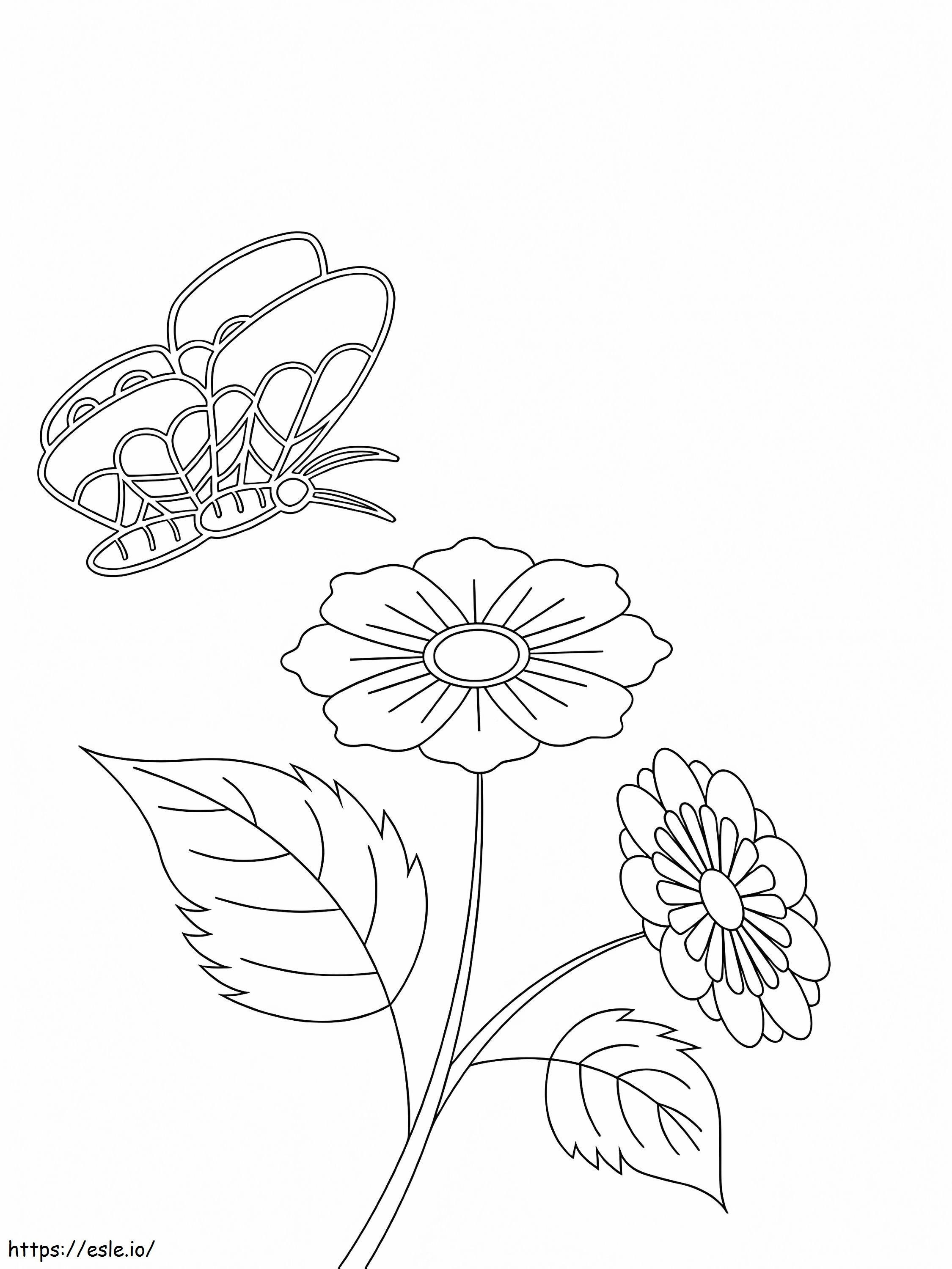 Daisy Flower Ja Perhonen värityskuva