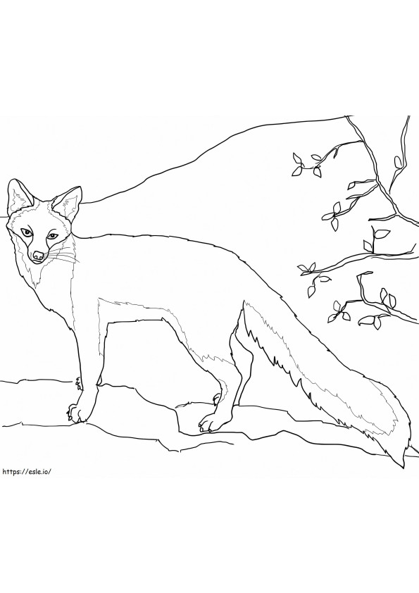 Tree Fox coloring page