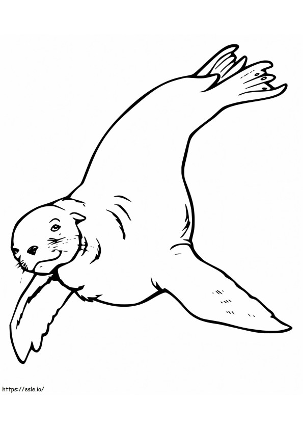 Deniz Aslanı Yazdırılabilir boyama