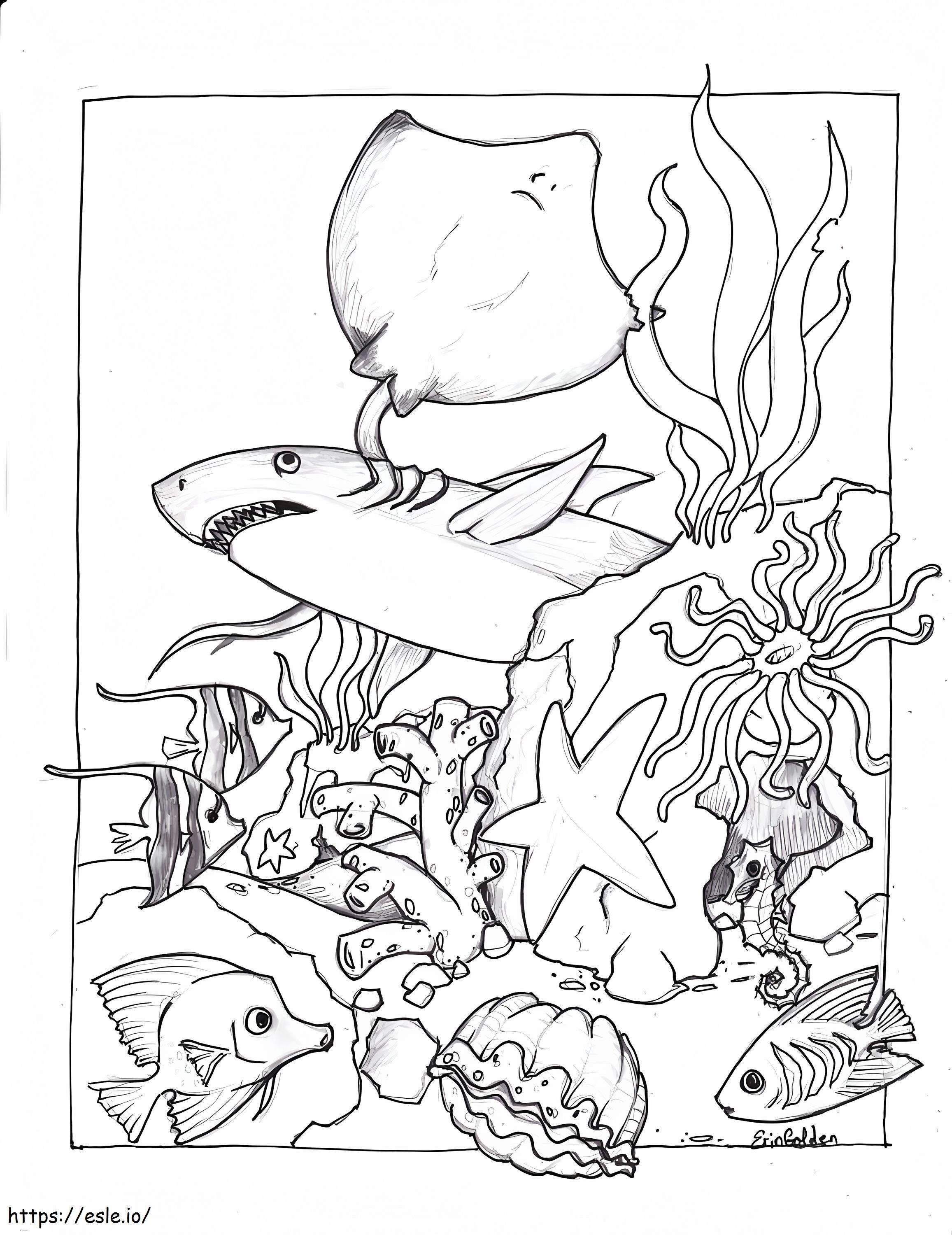 Ocean Creatures coloring page