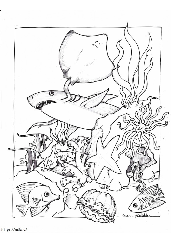 Ocean Creatures coloring page