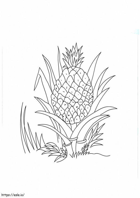 1528444045_A Ripe Pineapple 16 A4_Copy coloring page