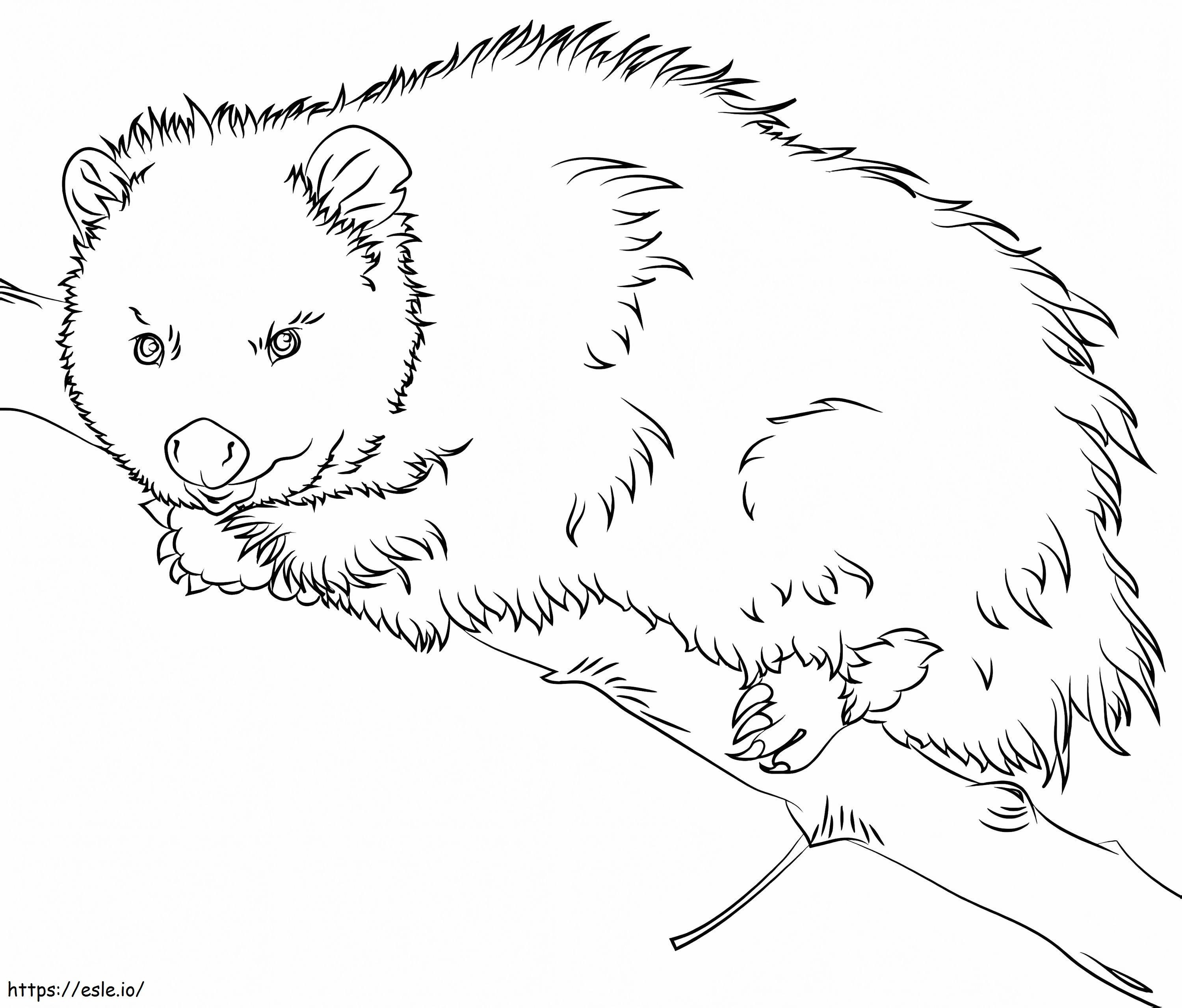 Coloriage Opossum sur un arbre à imprimer dessin
