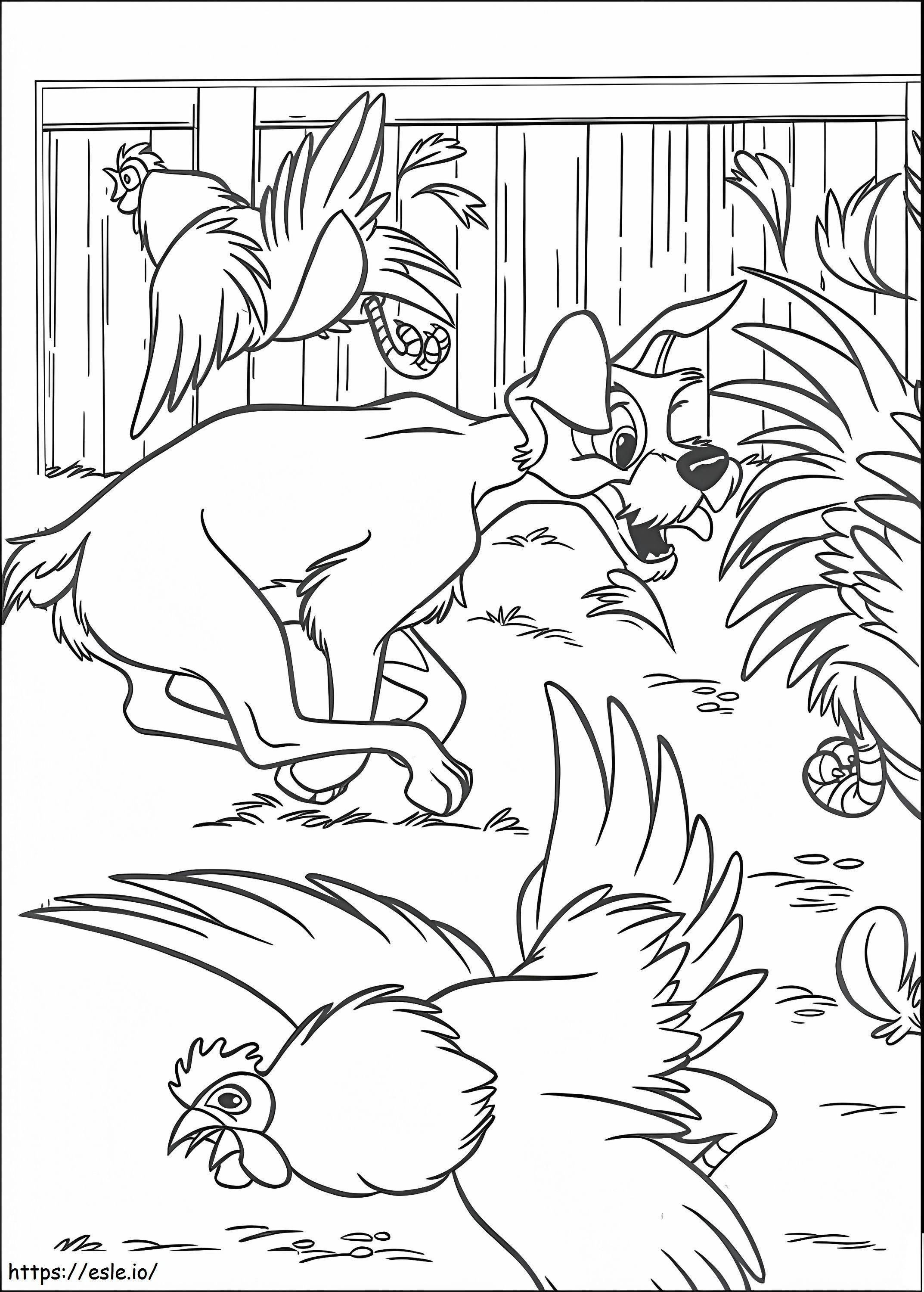 The Tramp And Chickens coloring page