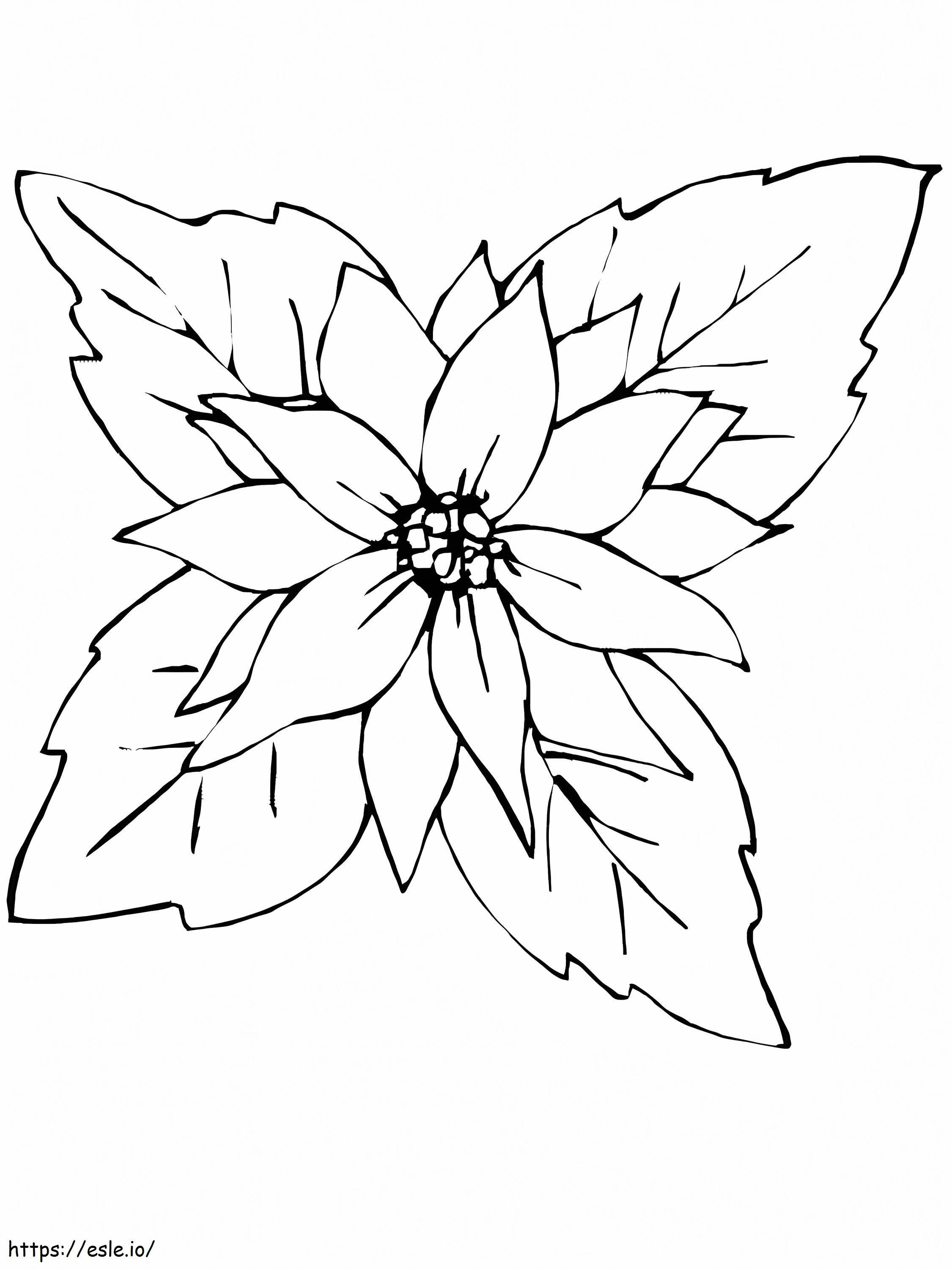 Poinsettia Roja coloring page