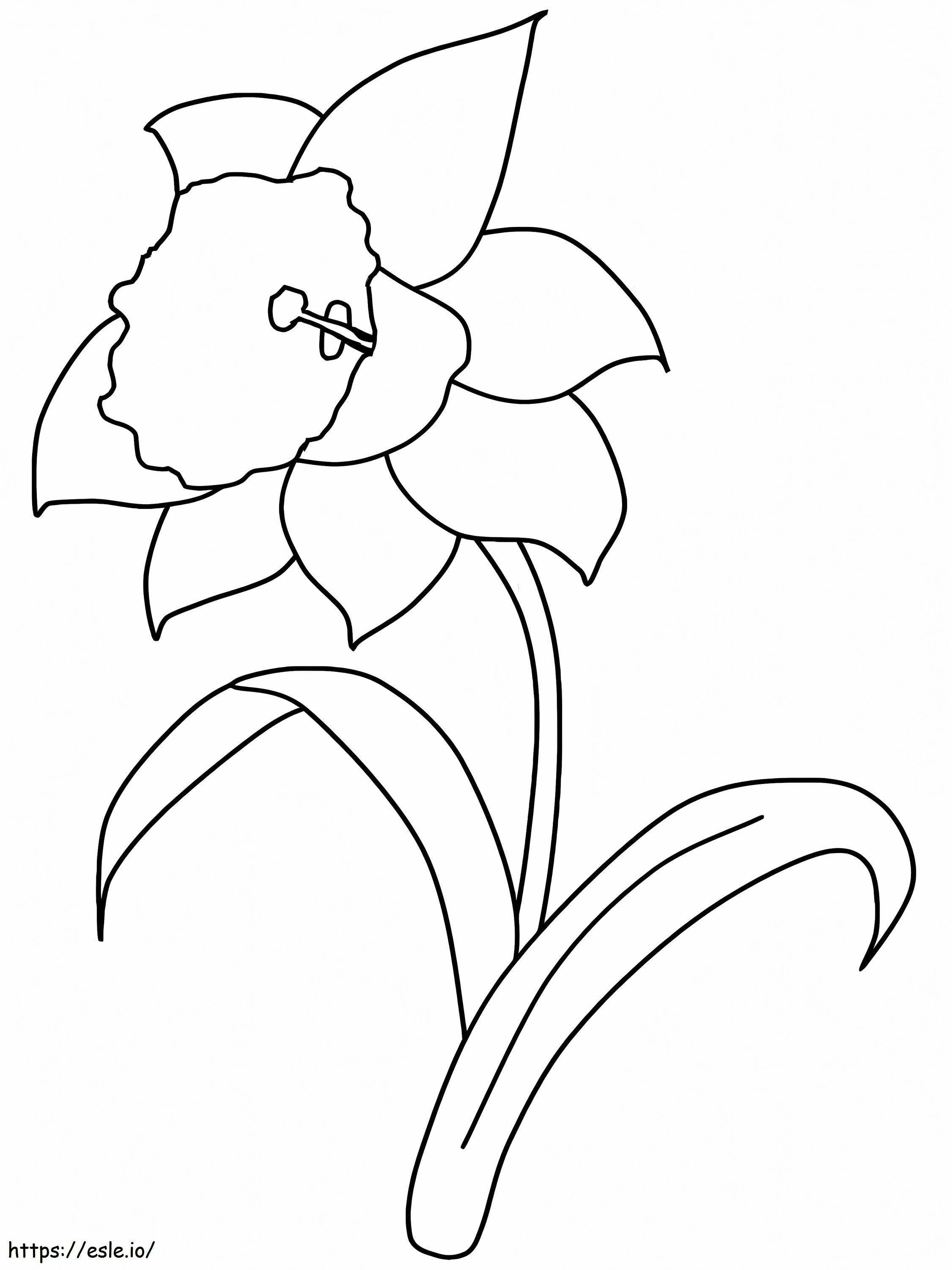 Coloriage Narcisse de base à imprimer dessin
