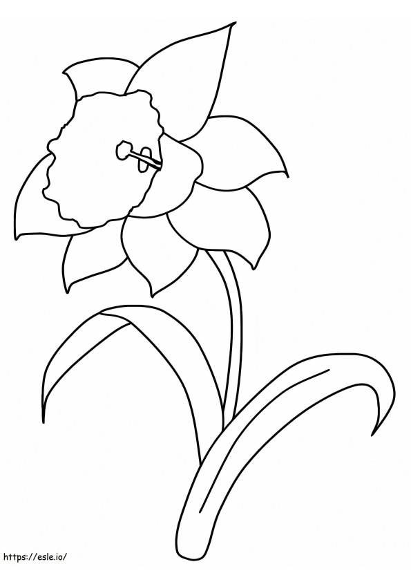 Coloriage Narcisse de base à imprimer dessin