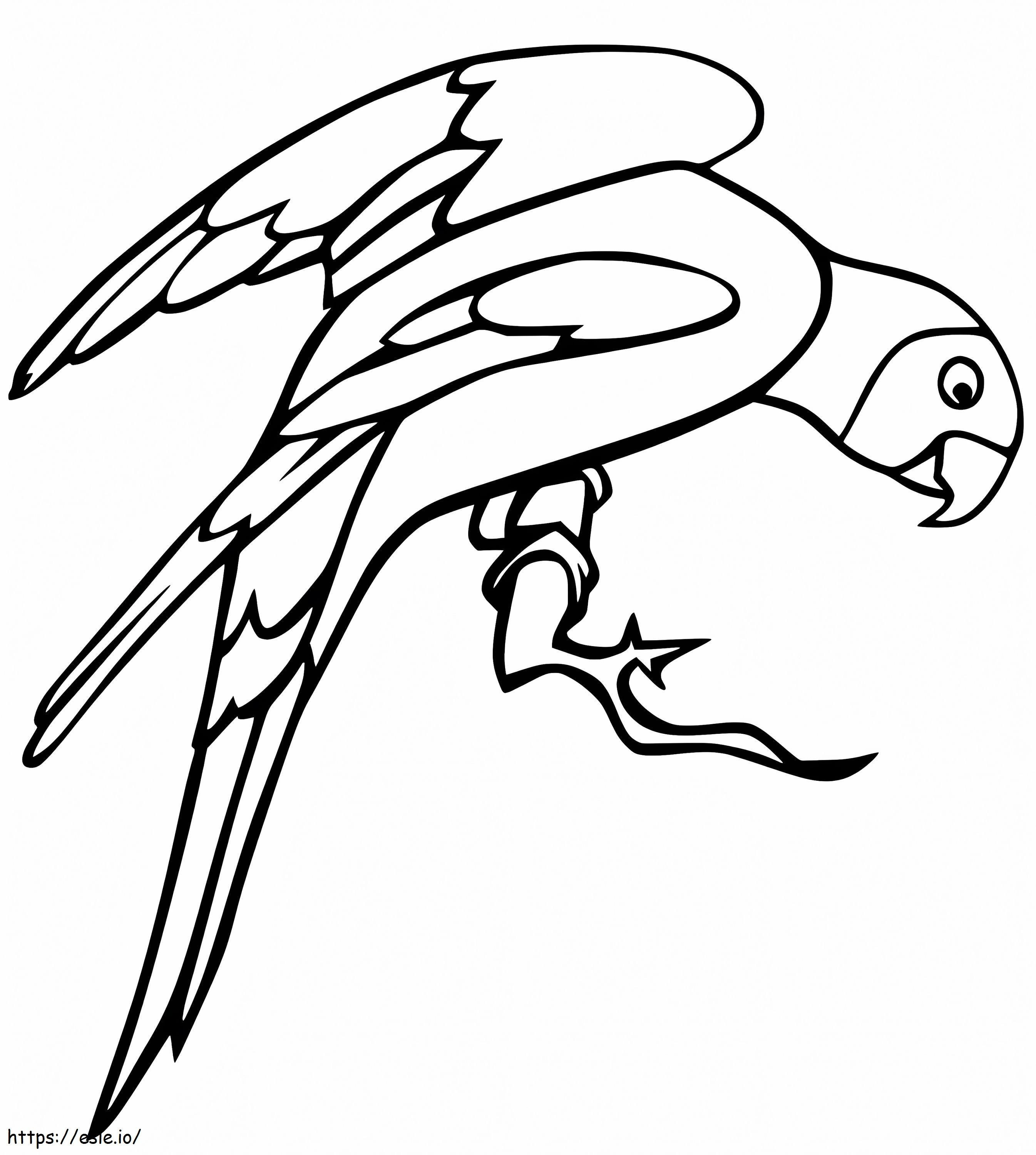 Papagáj ágon kifestő