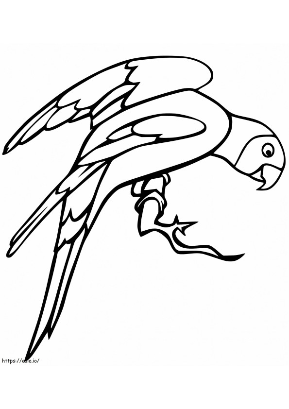 Papuga Na Gałęzi kolorowanka