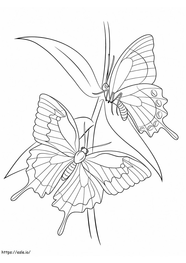 Ulysses Butterflies coloring page