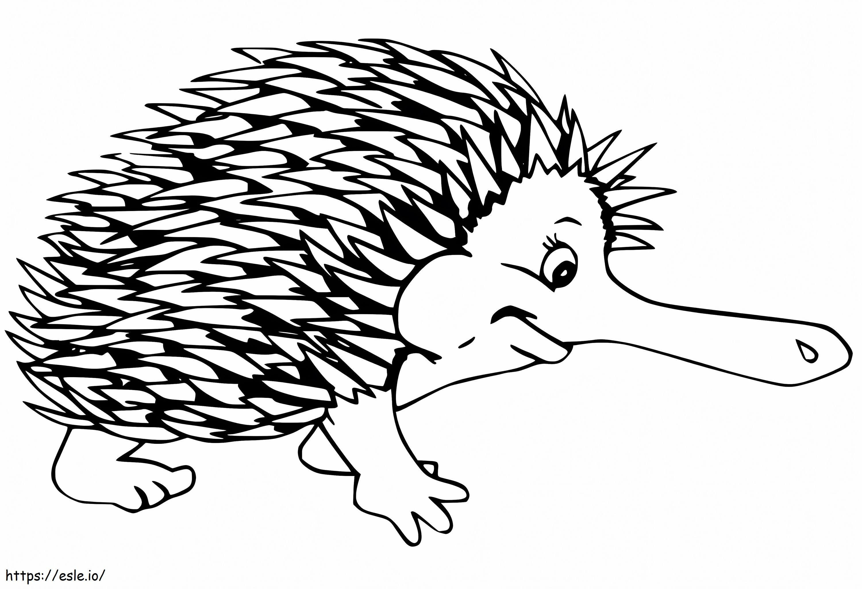 Echidna Smiling coloring page