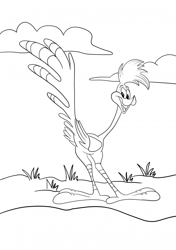 Roadrunner Looney Tunes können frei gedruckt und gefärbt werden