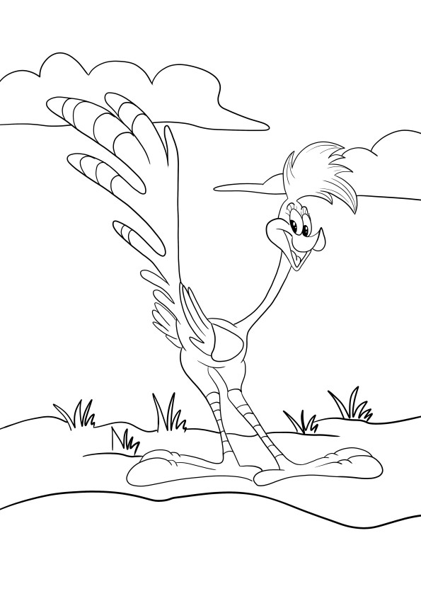 Roadrunner looney tunes print and color freely