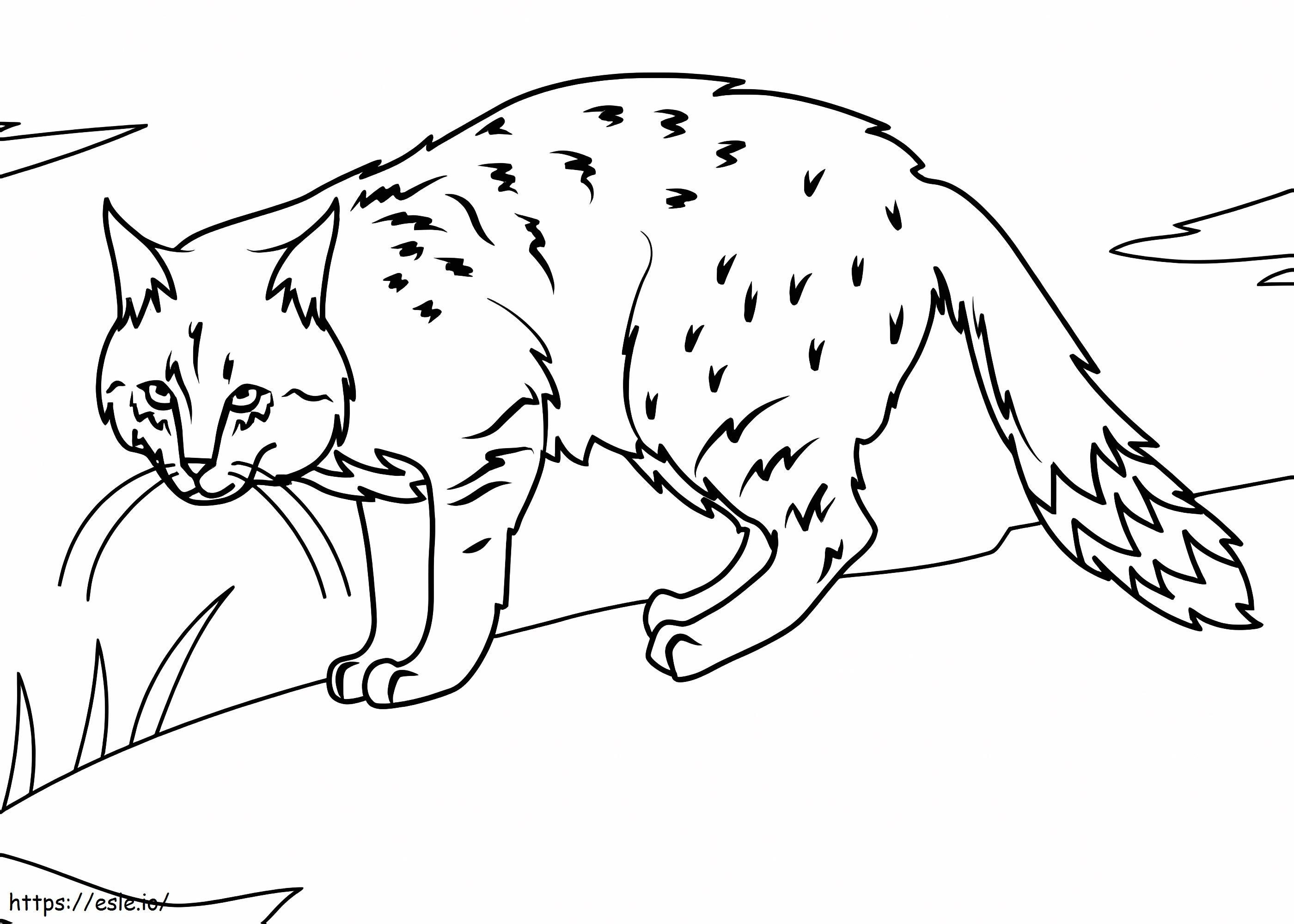 Mountain Cat coloring page