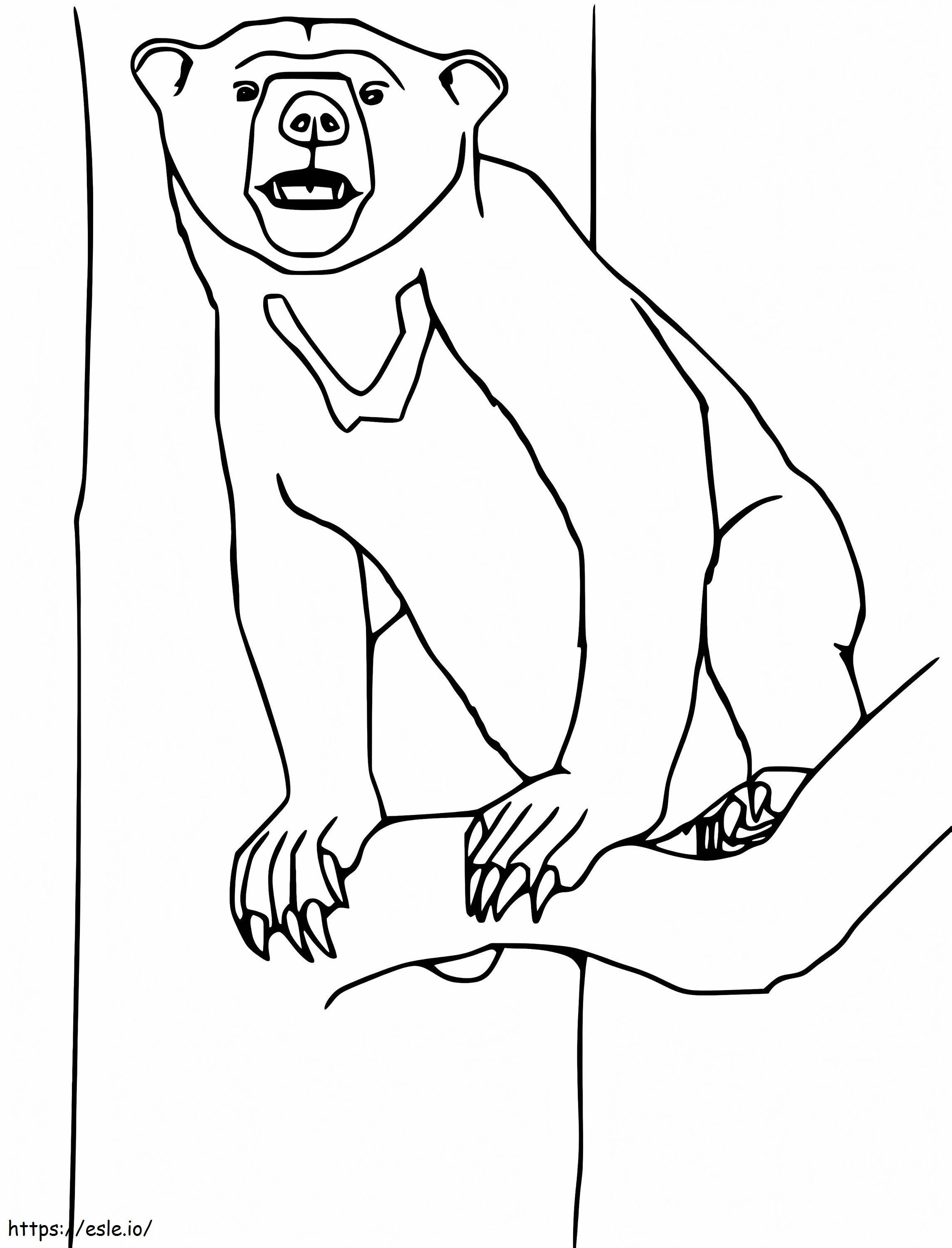 Sun Bear On A Tree coloring page