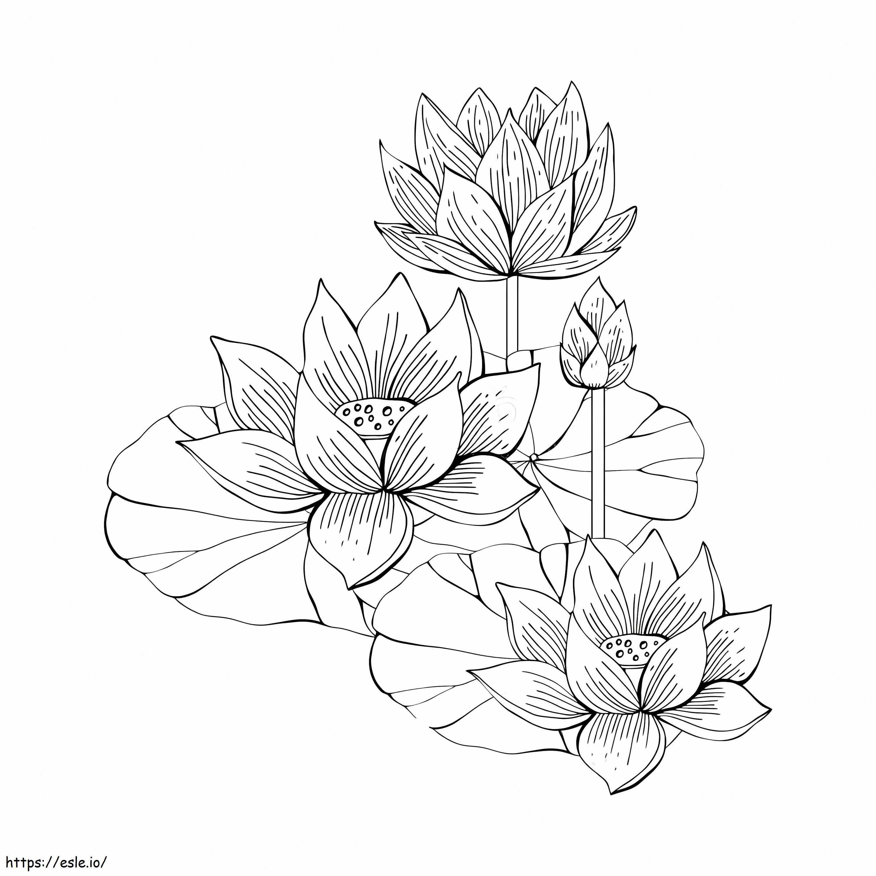 Four Lotto coloring page