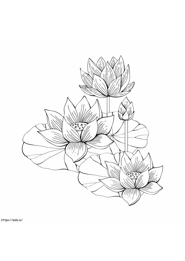 Four Lotto coloring page