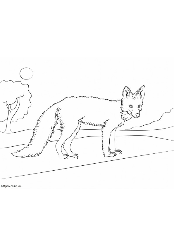 Young Red Fox 1024X774 coloring page