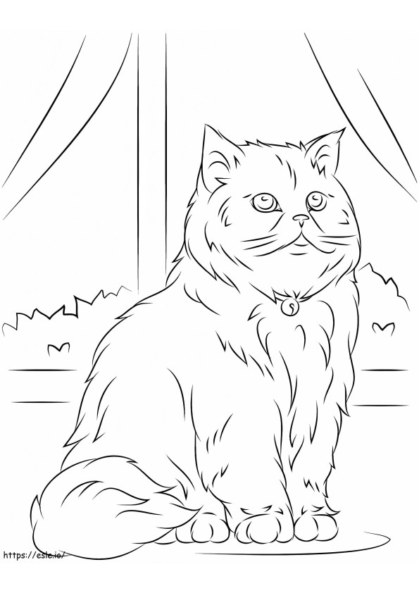27Persian Cat 804X1024 coloring page