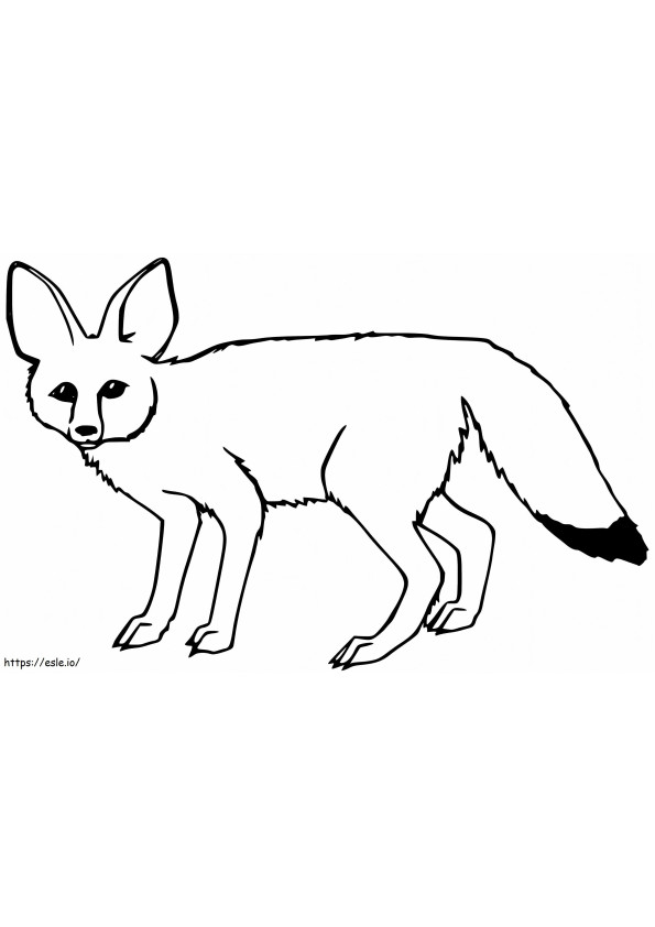 Fennec Fox para impressão
