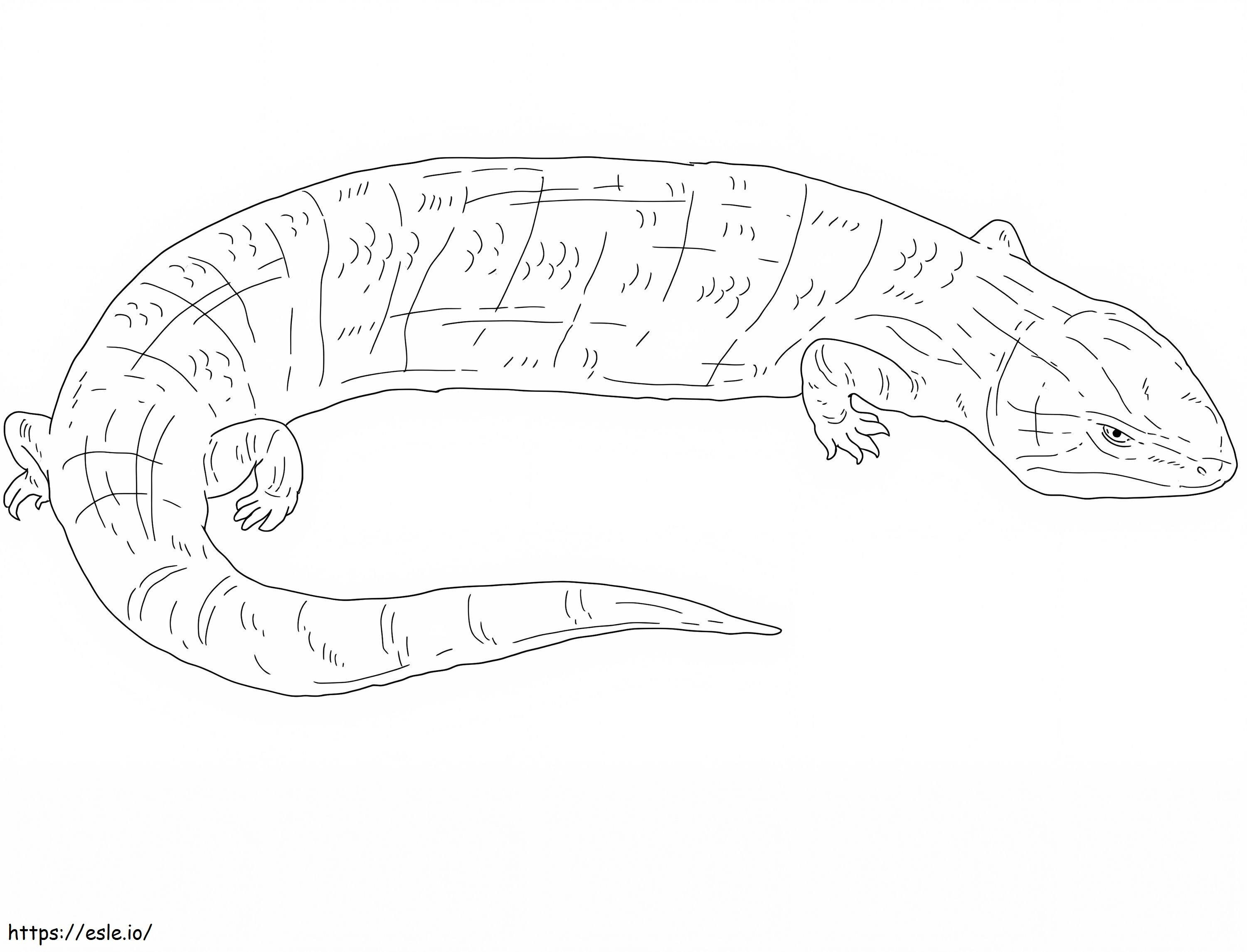 Eastern Blue Tongue Skink coloring page
