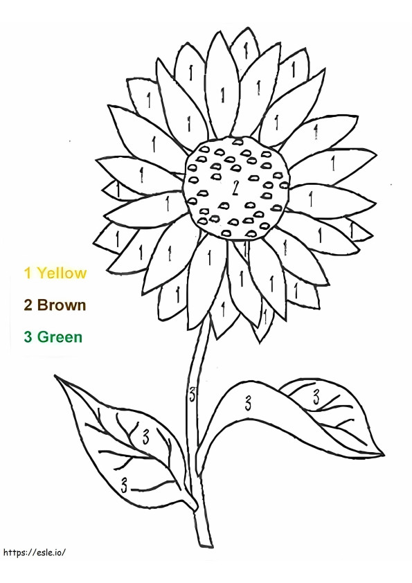 Cor da flor para impressão por número para colorir