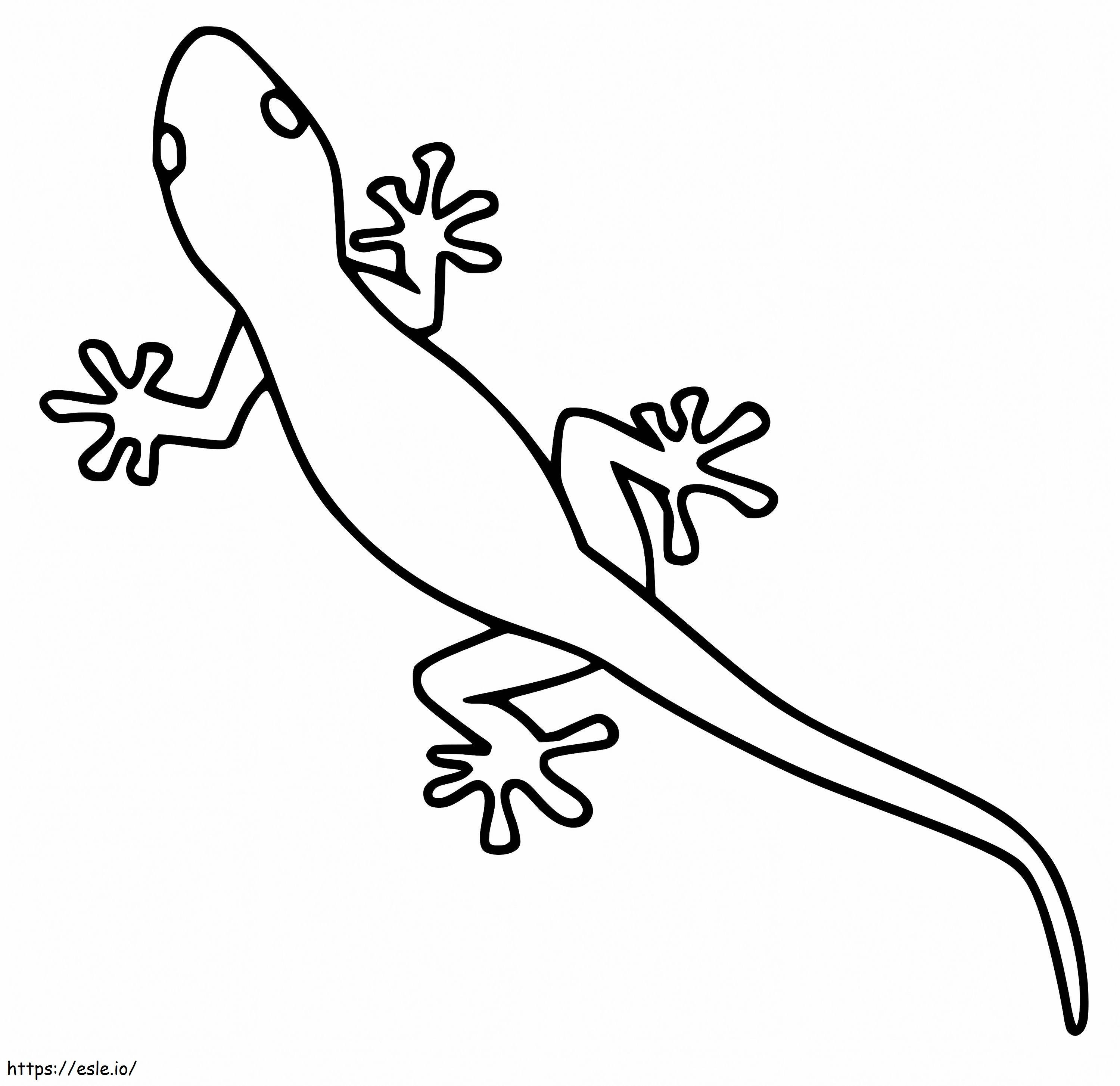 Coloriage Gecko 2 à imprimer dessin